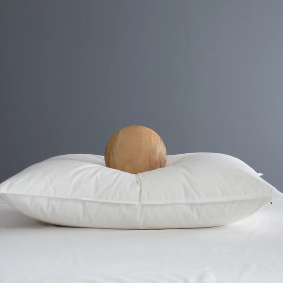 NWOT QUINCE Luxe Goose Down Pillow Soft Standard 5480 - Picture 1 of 15